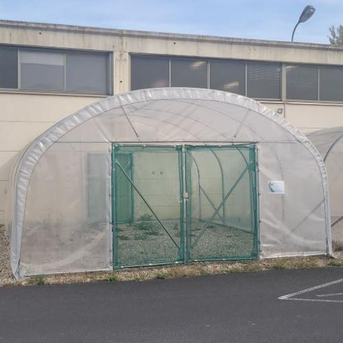 Serre Tunnel de Jardin 20 m2 - 5x4M - Tulipe