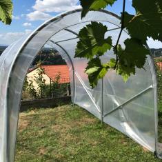 <strong>Serre à Tomates Renforcée</strong><br/> - Largeur 3M