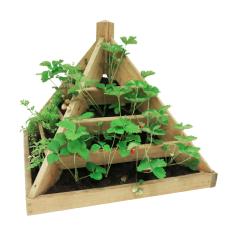 Pyramide à Plants MAYA