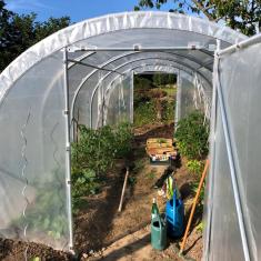 serre de jardin tunnel